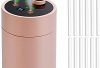 Cytheria 600ml Indoor Plant Humidifier, Mini Cold Mist Portable 2000mAh Battery Operated, USB Desk Humidifier with 10 Filter Sticks, 4 Sprays Mode, Auto Shut-Off, Whisper Quiet for Babies – Pink