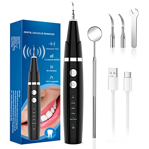 Plaque Remover for Teeth,Electric Teeth Cleaning Kit with LED Light,Tooth Cleaner Tartar Remover for Teeth with 5 Adjustable Modes and 2 Replacement Head(Black)